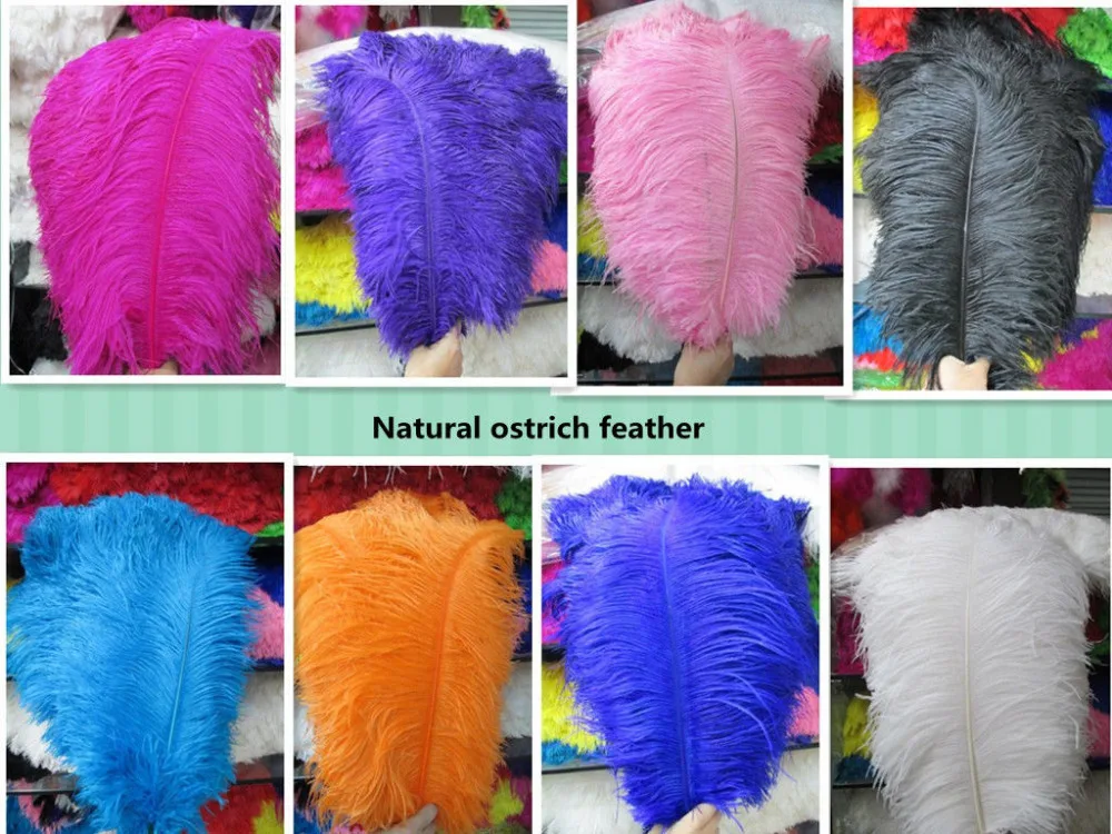 

Wholesale 50PCS/LOT Quality Natural OSTRICH FEATHERS 30 -35 cm 12-14 inches Color Selection FREESHIPPING