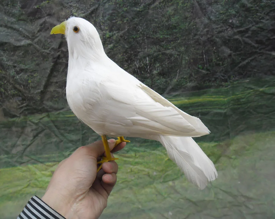 simulation white dove toy about 25cm feathers bird of peace, plastic&feather dove decoration ,Shooting Prop,toy gift w5546