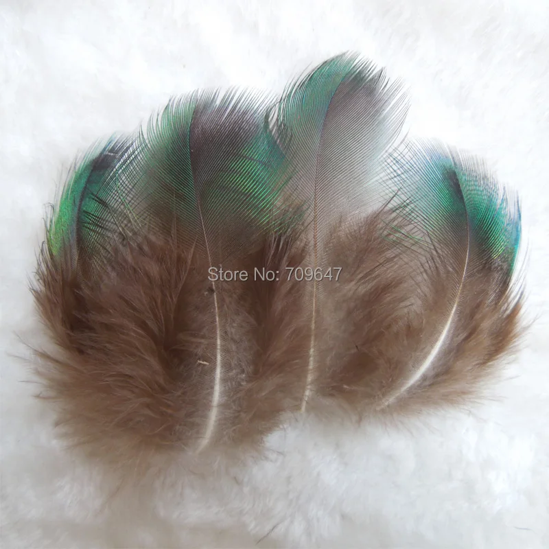 High Quality! 50/100pcs/Lot Approx 5-10cm  GREEN PEACOCK BODY PLUMAGE FEATHERS,Loose Peacock Feathers for Jewelry Making