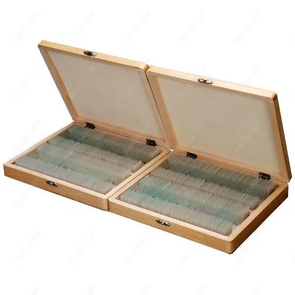 

Microscope Slides-AmScope Supplies 200 Anatomy Pathology Botany Prepared Microscope Slides