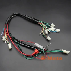 50cc 70cc 90cc 110cc 125cc CDI Wire Harness STATOR Assembly Wiring Set ATV Electric Quad Pit Bike Go Kart new E-Moto