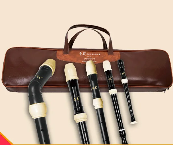 Full Set Plastic Recorder with Leather Bag, 8-Hole, Baroque Sopranino, Soprano, Alto, Tenor and Bass, English-style