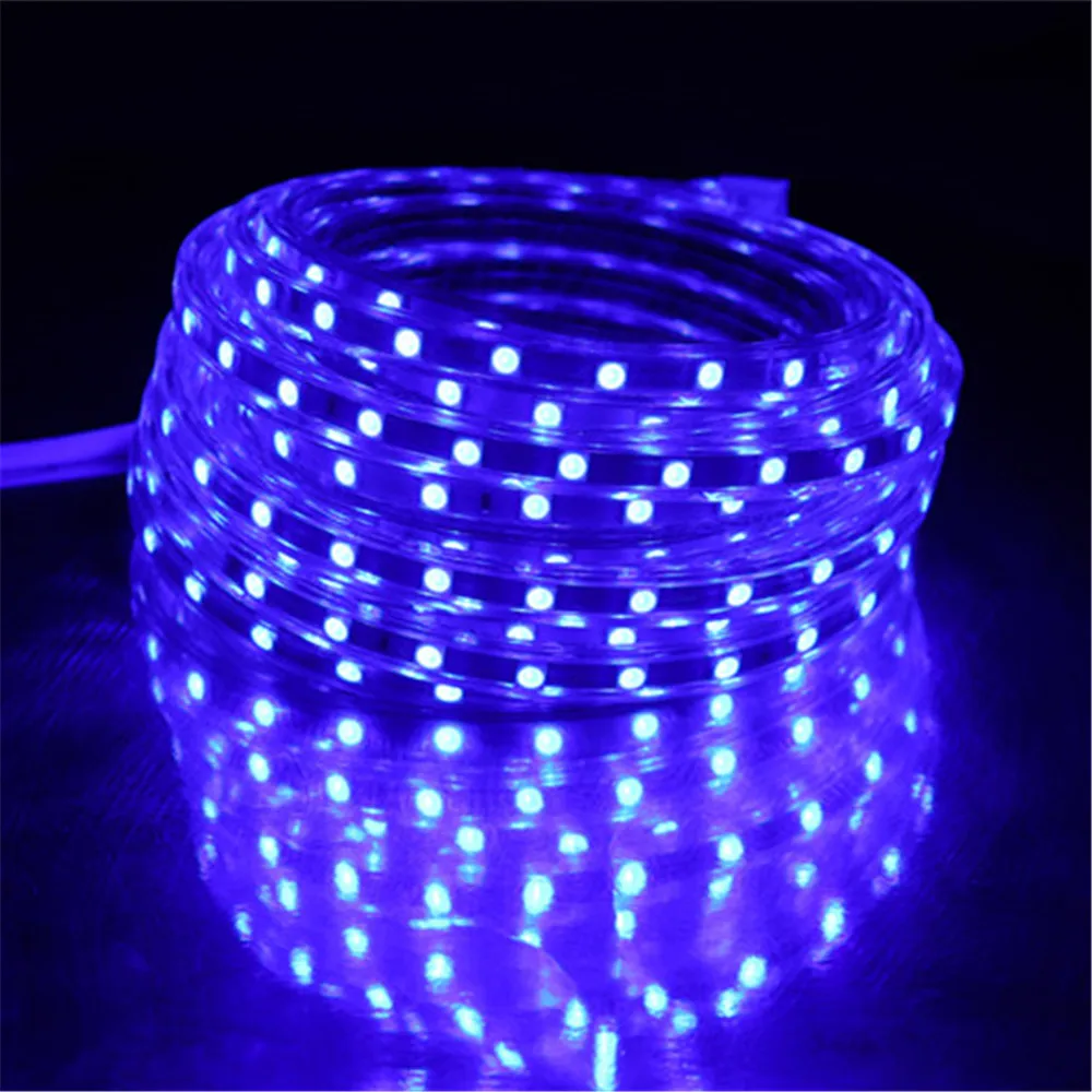 SMD 5050 AC220V LED şerit esnek ışık 60leds/m su geçirmez Led bant LED ışık ile priz 1M 2M 3m 5M 6M 8M 9M 10M 15M 20M