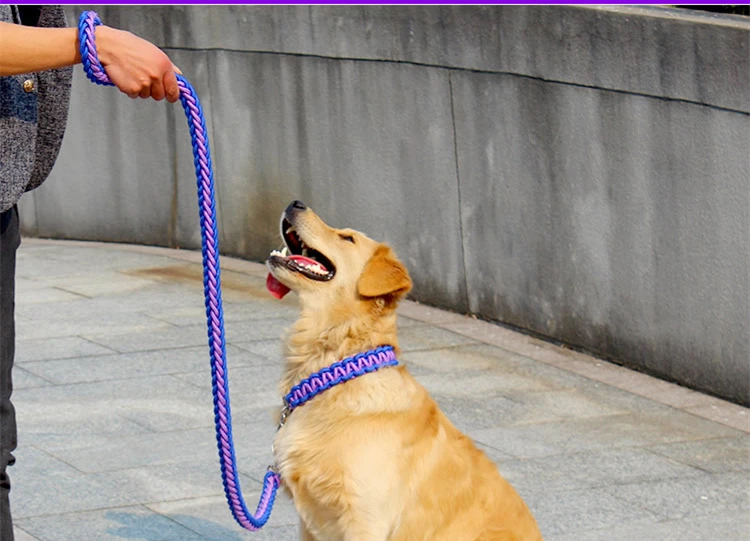 High Quality Upgraded color collar Large Dog German Shepherd walk the dog P chain necklet Pet For Medium and large Dogs 6