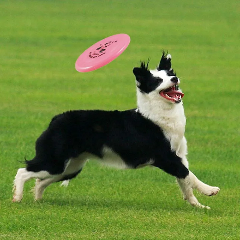 1pcs Plastic Flying Saucer Dog Toy Pet Game Flying Discs Resistant Chew Funny Puppy Training Toy Interactive Partner Pet Shop