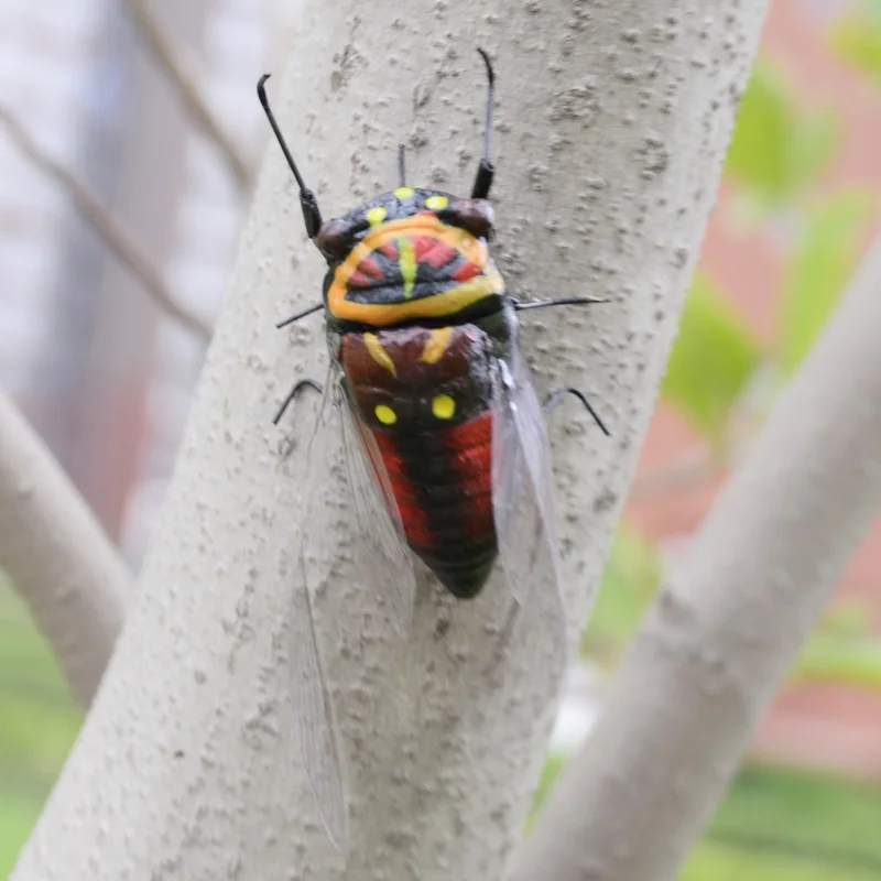 2pcs simulation cicadas Toys Special Lifelike Model Simulation Insect Toy nursery garden decoration fridge magnet