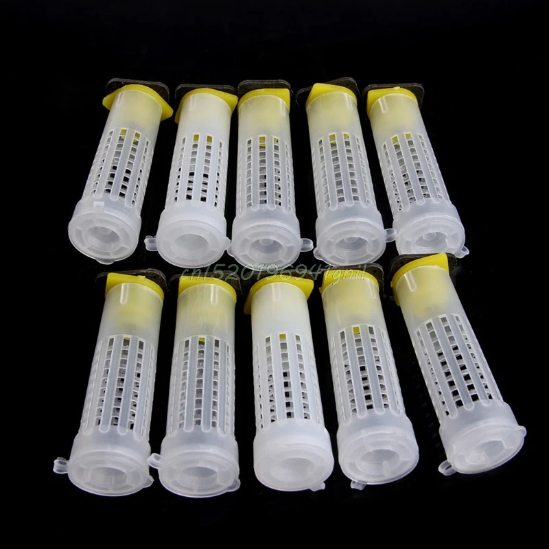 10Pcs Beekeeping Rearing Cup Kit Bee Queen Cages Roller Beekeeper Equipment Tool YH-461505