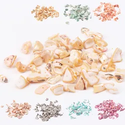 Natural Chippy Shell Irregular Loose Beads For Decoration Jewelry Making DIY Accessories 40g about 10-25mm