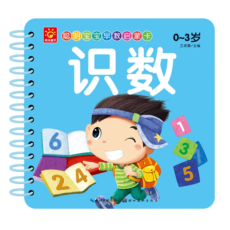 New 10pcs Kids Chinese Learning Cards pictures books with Pinyin English Chinese character book hanzi fruit animal people cards