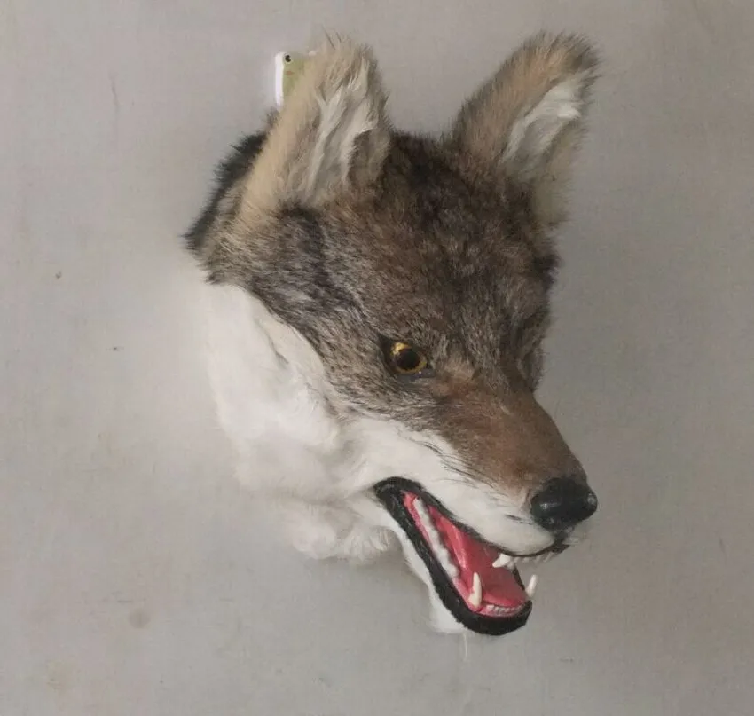 

creative simulaiton wolf head toy lifelike furnishing articles wolf head model doll gift about 31x21x26cm