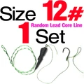 Randomly  12