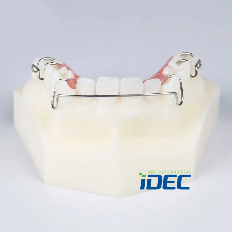 Dental Model Top teeth REMOVABLE Hawley Retainer Model Orthodontic Model 1PC