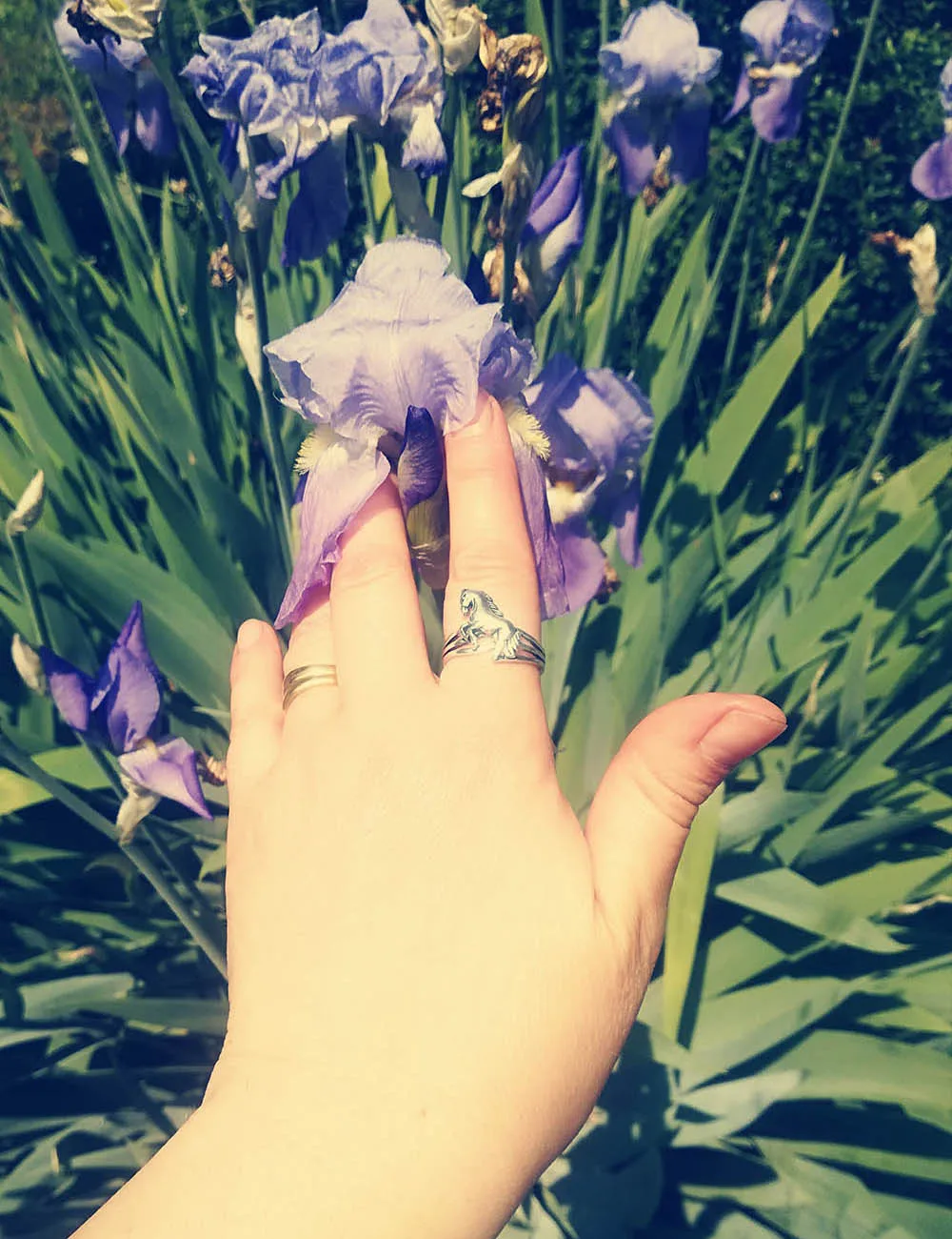 Ajojewel Silver-color Woman Horse Ring Animal Shaped Jewelry