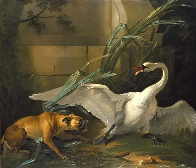 

100% handmade oil painting on linen canvas,Swan attacked by a dog by Jean-Baptiste Oudry,STILL LIFE oil painting,Museum quaity