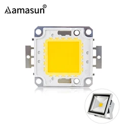 5 szt. Koraliki LED o wysokiej jasności 10W 20W 30W 50W 100W Chip COB biały ciepły biały wysokiej jakości do DIY reflektor światło halogenowe