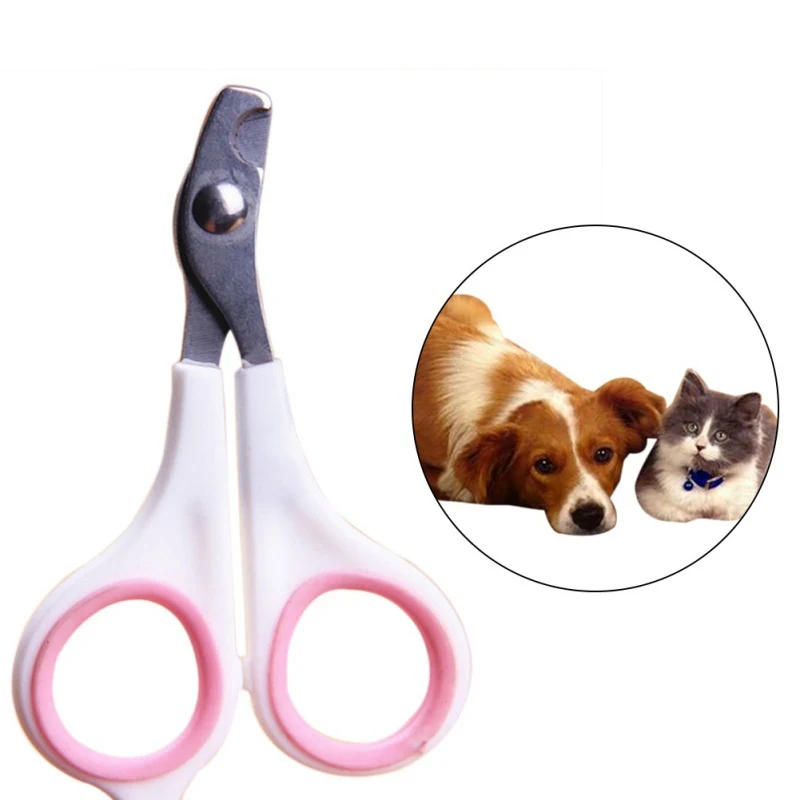 Multi-color Pet Animal Dog Cats Bird Toe Claw Stainless Steel Grooming Nail Clippers Scissors pet Supplies