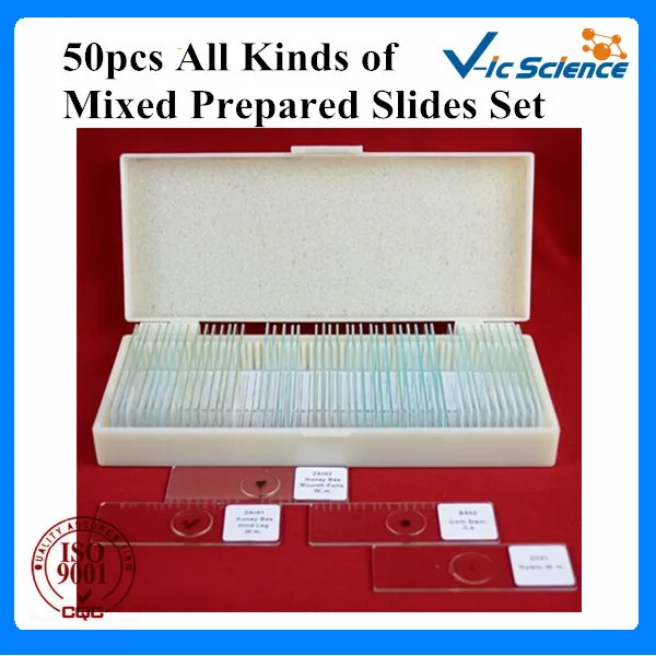 

50pcs All Kinds of Mixed Prepared Slides Set