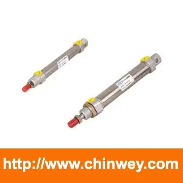 

DSN series stainless steel mini cylinder