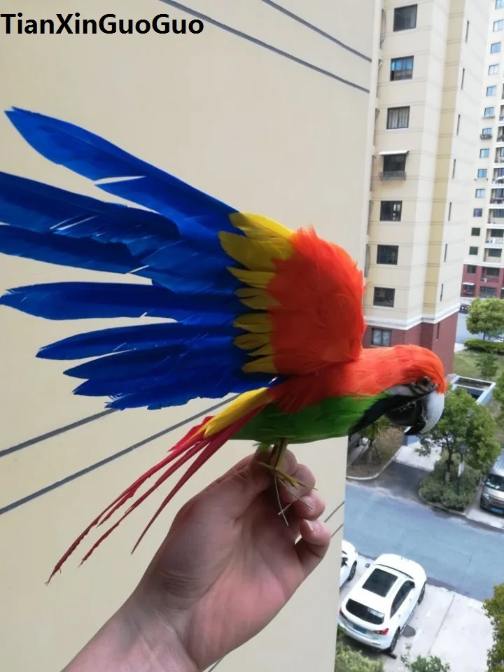 

about 30x45cm feathers parrot bird hard model beautiful feathers spreading wings parrot bird stage prop,garden decoration s2076