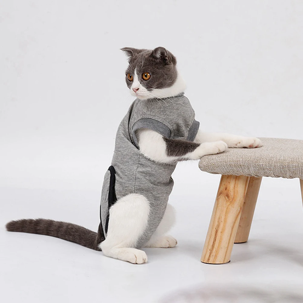 Pet Cat Dog Clothes Post-Operation Clothes Pet Surgical Gown Coat Sterilization Bandage suit pet training suit