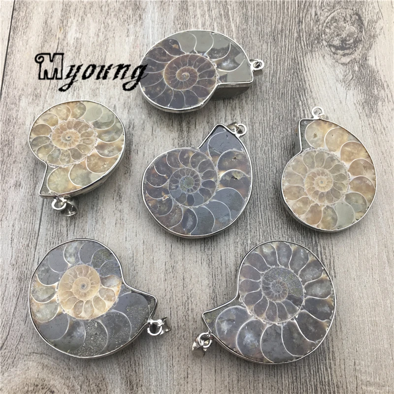 Genuine Ammonite Fossils Pendant Charms,Shell Conch Fossils Pendant With Silver Plated Bail For DIY Jewelry Making  MY1959