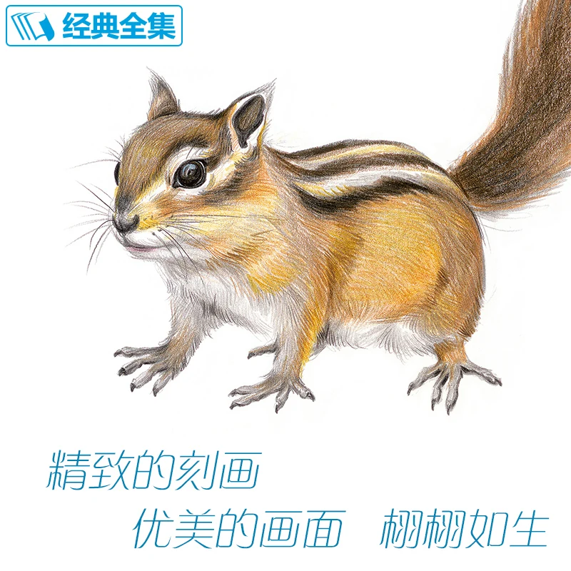 New Color Pencil sketch entry books Chinese line drawing books Animal sketch basic knowledge tutorial book for beginners