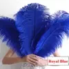 Royal Blue Ostrich Feather Many Sizes Wedding Decorations Centerpiece Ostrich Feather Ostrich Plume Wedding Party Decoration Cen