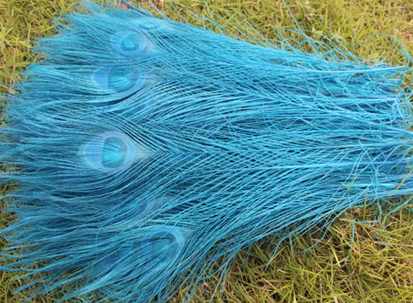 

Wholesale 50 PCS beautiful sky blue 25-30 cm/10-12 inches high quantity peacock feathers all sorts of adornment