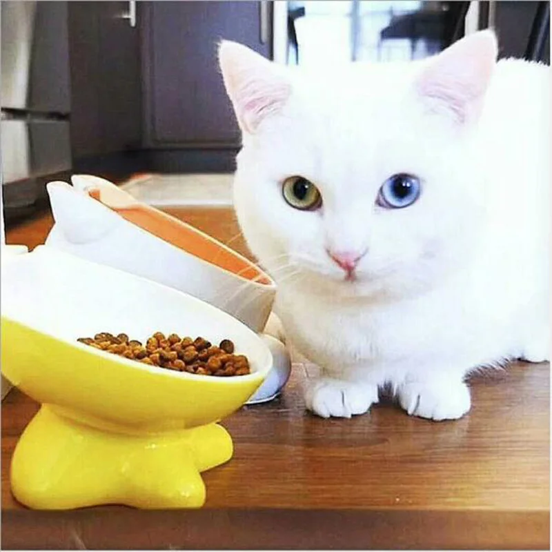 

Mr. Bug Pet Cats Food Bowl Cats Feeder for Food Eating and Water Drinking