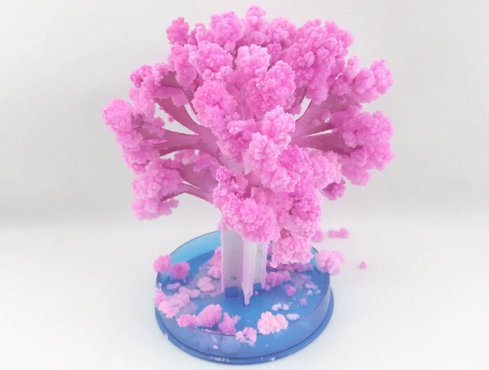 

2019 14x11cm Pink Big Magic Grow Paper Japanese Sakura Tree Magically Growing Trees Kit Desktop Cherry Blossom Kids Toys 2PCS