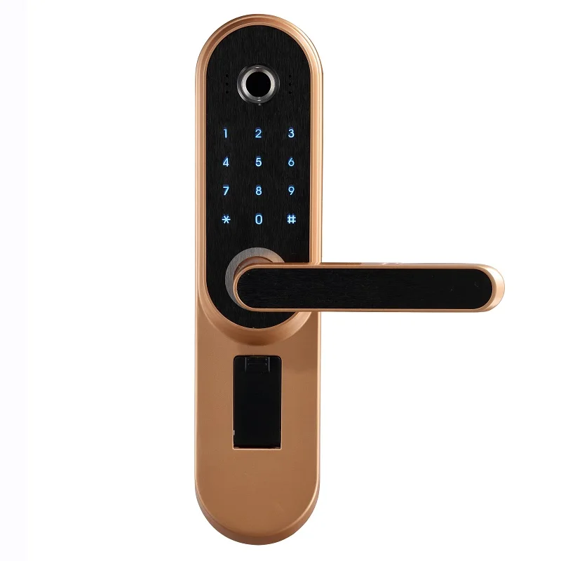 LACHCO 2020 Smart door lock With Biometric Fingerprint Code Password Digital Electronic door lock for home office L19001A1