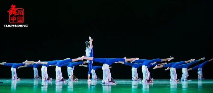 Ropa de baile clásica para niña, trajes de estilo lotus 8, actuaciones de baile de niños contemporáneos, Qinglian