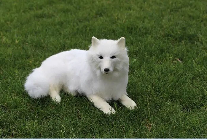 

large 30x20cm simulation samoyed dog polyethylene&fur white prone samoyed model handicraft home decoration gift b1888