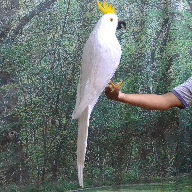 large 80cm simulation parrot white feathers Cockatoo parrot bird model home garden decoration gift h1130