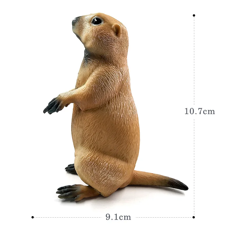 Simulation groundhog forest wild animal model one piece Marmot action figure PVC hot toy Gift For Kids Decoration accessories