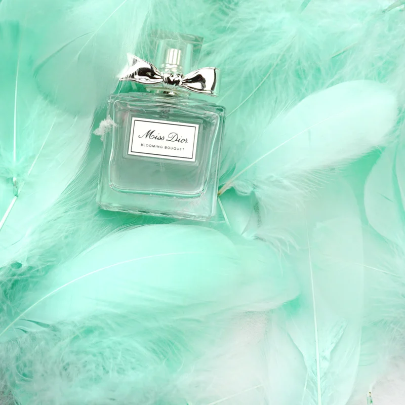 تكرير عالية الجودة الطبيعية ريشة ملونة صغيرة أوزة الريش 3-8 سنتيمتر التصوير الدعائم للصور خلفية DIY بها بنفسك الديكور