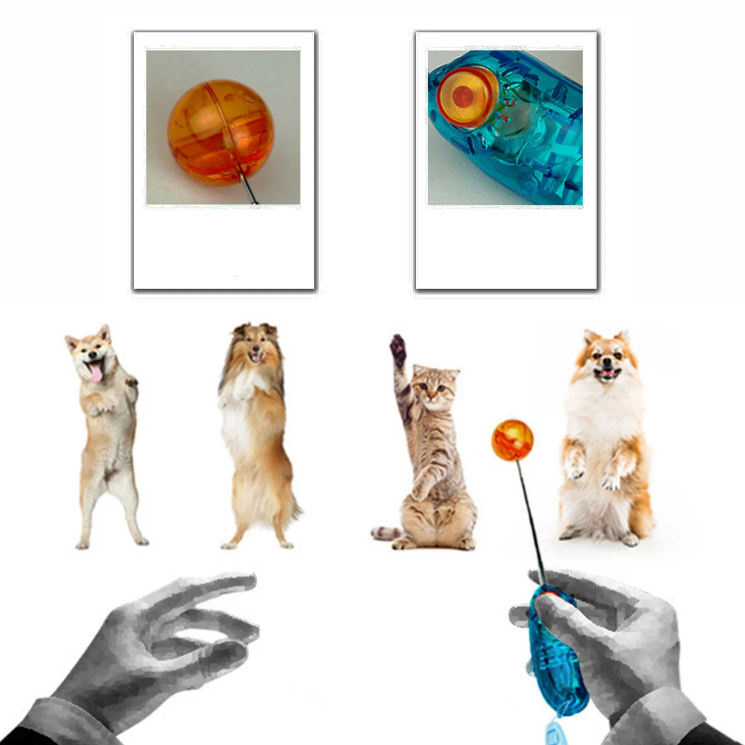 Behogar novidade design stretchable pet cão gato treinamento clicker agilidade clickers pássaro apito comandante fornecimento acessório