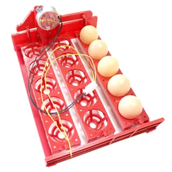 Hatched egg tray Incubator Egg Tray Automatic Incubator Egg Tray Automatically Turn The Eggs  Poultry Incubation Equipment