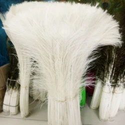 Wholesale,100pcs Rice white Peacock Tail Feathers about 32-34inches / 80-90cm