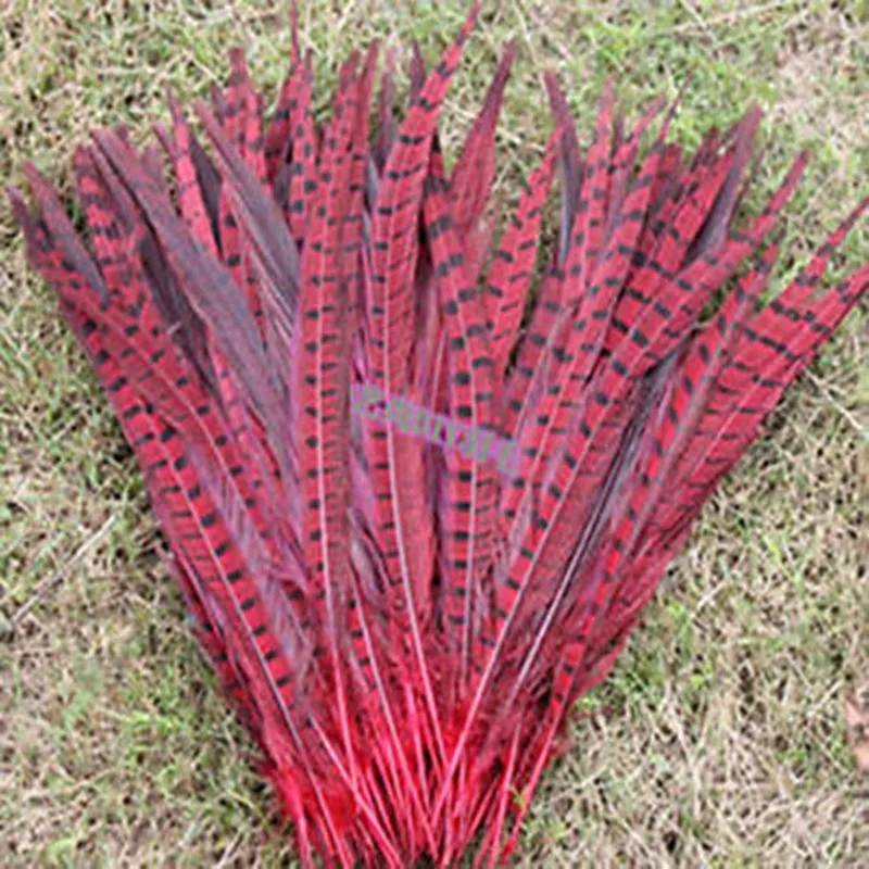 Wholesale 10 pcs natural pheasant tail feathers 16-18 inches choice of colors