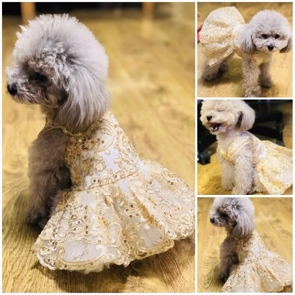 Princess Dog and Cat Wedding Dress, Tutu, Pet Puppy Dresses, Puppy Party Skirt, Embroidery Cat Clothes, Apperal XS -XL