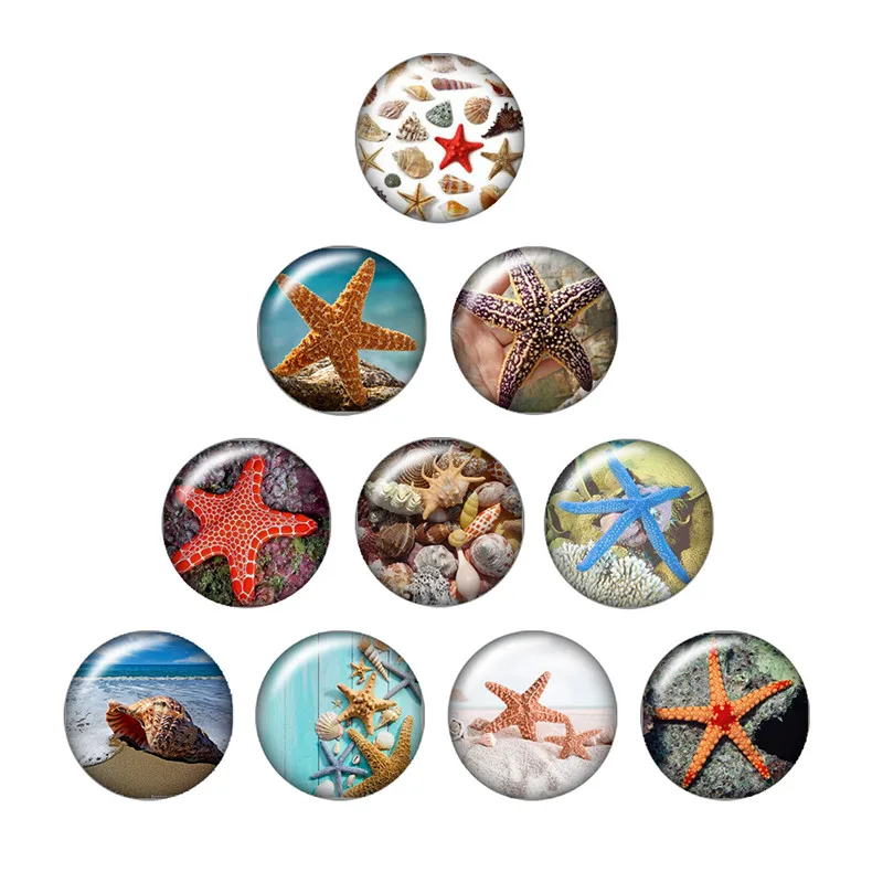 Dolfijn Zeester Kwallen Zee Vis 10 Stuks Gemengde 12Mm/18Mm Ronde Foto Glas Cabochon Snap Knoppen Voor snap Sieraden Groothandel