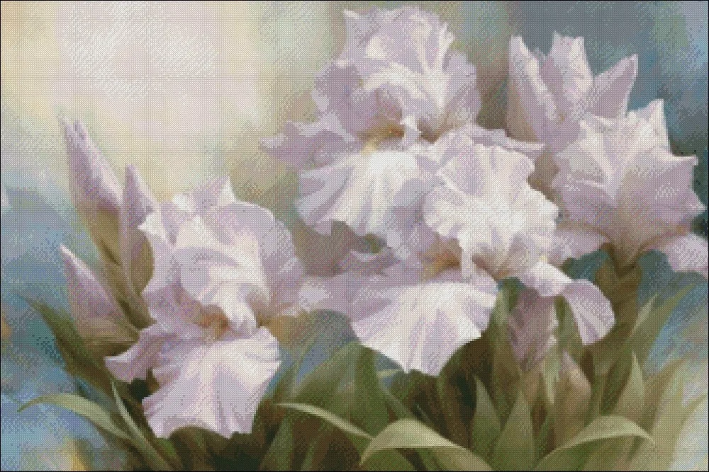 Needlework for embroidery DIY DMC Color High Quality - Counted Cross Stitch Kits 14 ct Oil painting - White Iris Elegance I