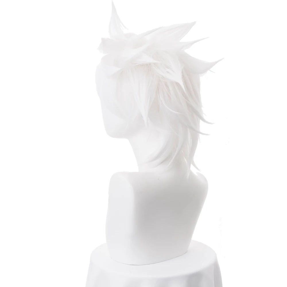 Perruque de Cosplay Fate aphrypha hirou komomine, pour hommes et garçons, Halloween, fête du carnaval, bonnet de perruque