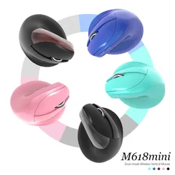 Delux M618Mini Ergonomic Wireless Vertical Mouse Bluetooth 2.4GHz Rechargeable Battery Mice RGB For Wrist and Hand Strain