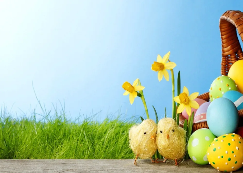 Fondo de Pascua de Capisco, huevos, hierba de primavera, flores reales de pollo, fondo fotográfico, fondos de fotografía