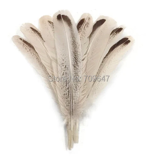 Feathers for crafts!50Pcs/lot!8-12inches 20-30cm long Wild Turkey Feathers,ROYAL PALM Wild Turkey Rounds Wing Quill Feathers