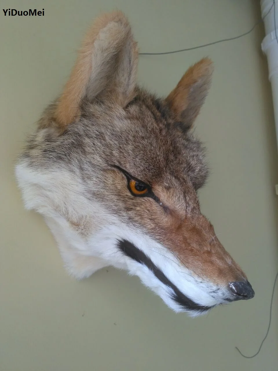 large 30x25cm artificial wolf head model,plastic&furs wall pandent handicraft ,home decoration gift a1912