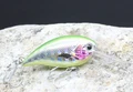 pink gill CN50