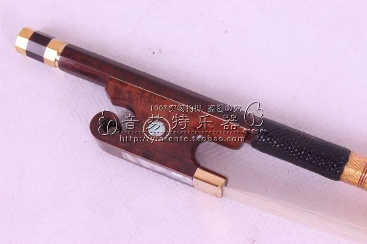 

Violin bow advanced snake snail